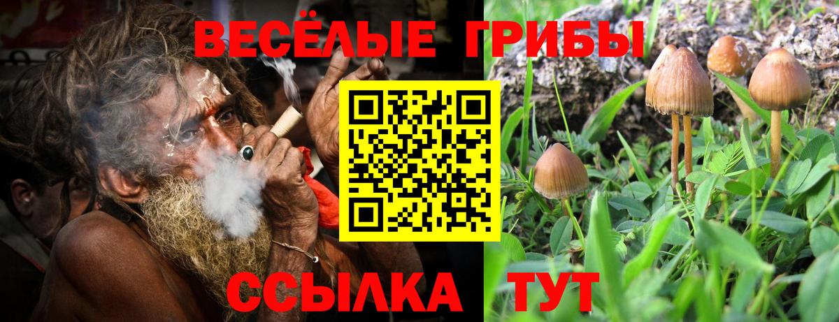 Псилоцибиновые грибы мицелий  Вход с VPN  Богородск  Галлюциногенные грибы MAGIC MUSHROOMS 